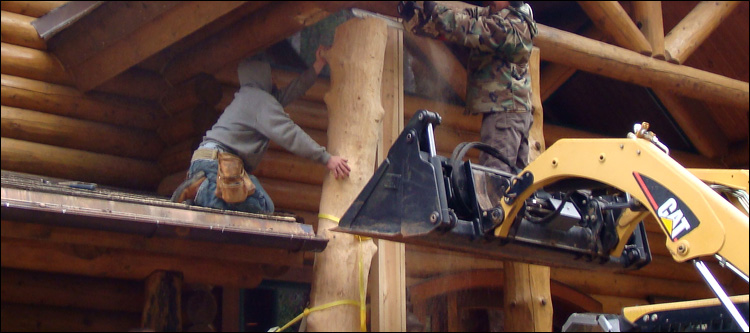 Log Home Log Replacement  Erie County, Ohio